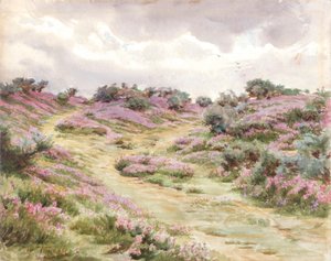 Dopheide op Setley Plain