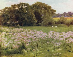 Het Nieuwe Woud: Riversdale, Boldre door Walter Frederick Roofe Tyndale