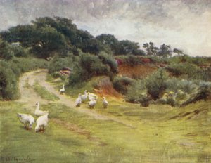Het New Forest: Royden Common, nabij Brokenhurst door Walter Frederick Roofe Tyndale