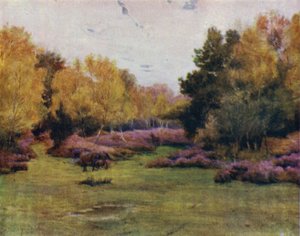 Het New Forest: Rushpole Wood, Lyndhurst door Walter Frederick Roofe Tyndale