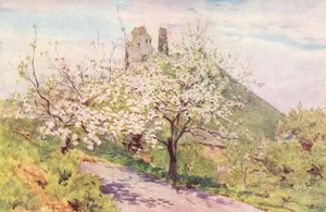 Wessex: Lente in Wessex
