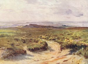 Wessex: Studland Heath, Poole Harbour in de verte door Walter Frederick Roofe Tyndale