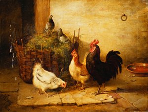 Gevogelte en Duiven in een Interieur door Walter Hunt