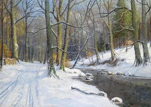 Beeklandschap in de winter
