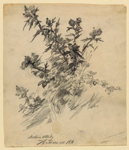 Natuurstudie
