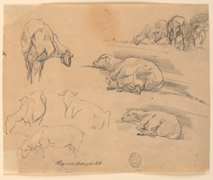 Schetsen van Schapen door Walter Shirlaw