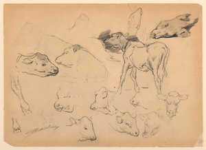 Studies van Vee, Hoofden van Schapen en een Varken door Walter Shirlaw