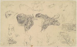 Studies van ossen door Walter Shirlaw