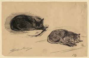 Studie van katten door Walter Shirlaw