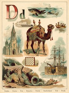 Letter D door Walter Zweigle
