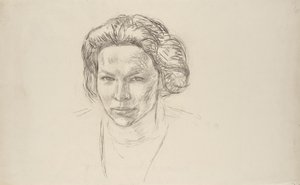 Portret van een dame door Walther Gamerith