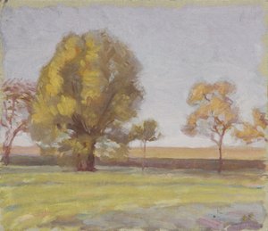 Landschap