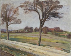 Pad met bomen en boerderij