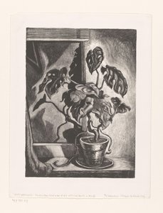 Philodendron in raamkozijn