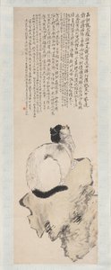 Kat door Wang Li