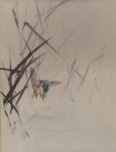 Vogel vangt vis tussen riet