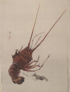 Kreeft, ca. 1887