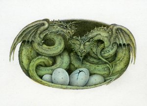 Amphisbaena door Wayne Anderson