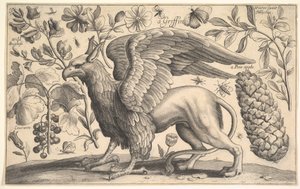 Een Griffioen, 1625-77 door Wenceslaus Hollar