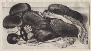  door Wenceslaus Hollar
