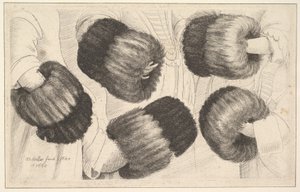 Een mof in vijf aanzichten, 1645-46 door Wenceslaus Hollar