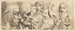 Een verscheidenheid aan hoofden, 1625-77 door Wenceslaus Hollar
