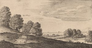 Albury door Wenceslaus Hollar