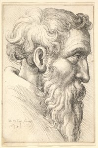 Bejaarde man met baard in profiel naar rechts, 1645 door Wenceslaus Hollar