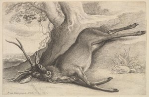 Dode hert door Wenceslaus Hollar