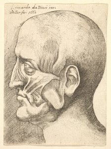 Ecorché-hoofd van een man in profiel naar links, 1660