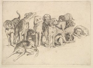  door Wenceslaus Hollar