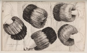 Een mof op vijf verschillende manieren gezien door Wenceslaus Hollar