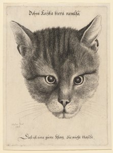  door Wenceslaus Hollar