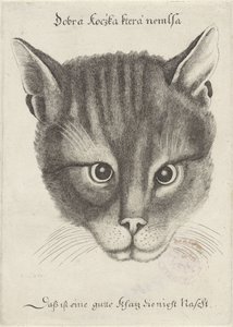 Kop van een kat door Wenceslaus Hollar