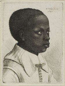 Hoofd van een jonge zwarte jongen in profiel naar rechts door Wenceslaus Hollar