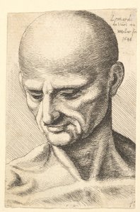 Hoofd van een kale, gespierde man die naar beneden kijkt, 1648