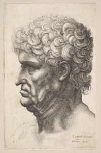 Hoofd van een man met dik krullend haar in profiel naar links door Wenceslaus Hollar
