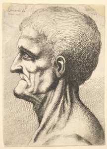 Hoofd van een tandeloze man met blote, pezig nek in profiel naar links, 1648