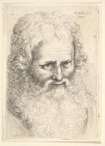 Hoofd van een oude man met een grote baard door Wenceslaus Hollar