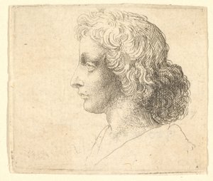 Hoofd van een jonge man met lang haar in profiel naar links, 1644-52 door Wenceslaus Hollar
