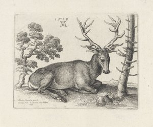 Liggend hert, naar rechts door Wenceslaus Hollar