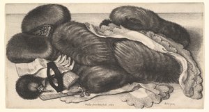  door Wenceslaus Hollar