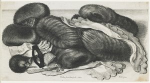 Moffen en kledingstukken op een tafel, 1647