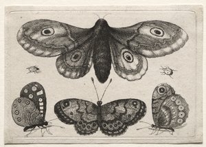  door Wenceslaus Hollar