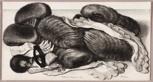 Stilleven met een groep mofjes, een paar handschoenen en twee zakdoeken door Wenceslaus Hollar