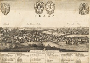 Groot uitzicht op Praag