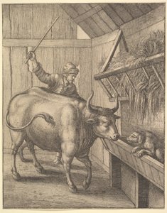 De hond in de kribbe uit illustratie bij John Ogilby