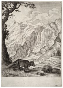 De vos en de stekelvarken door Wenceslaus Hollar