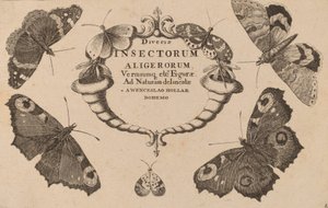 Titelpagina