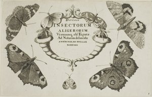 Titelpagina uit Diversae Insectorum